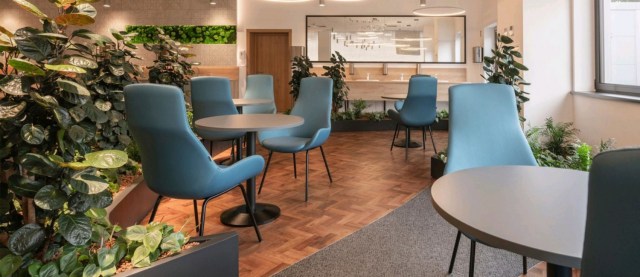 Lupino κάθισμα αναμονής